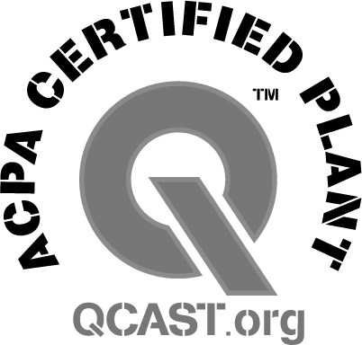 Black and white logo that has a big Q