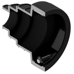 Black and white cross section image of 8QRS